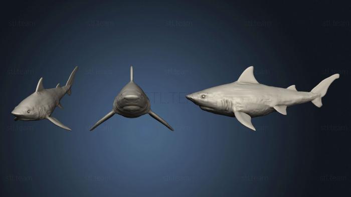 Статуэтки животных Shark 5